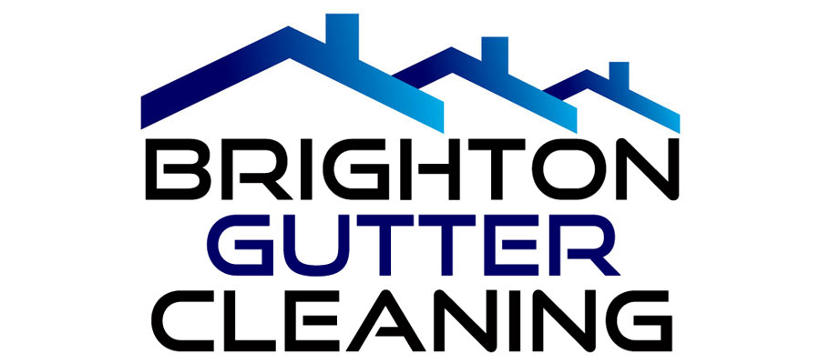 Eastbourne Gutter Cleaning team and equipment